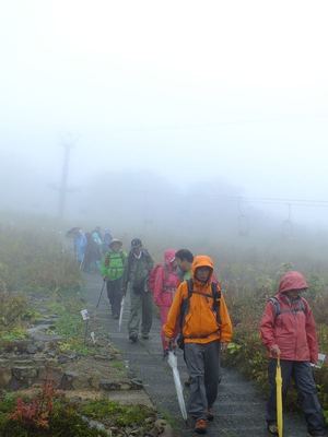 紅葉の小遠見山