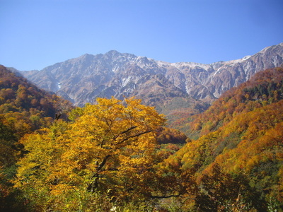 紅葉の白馬大雪渓への登山道