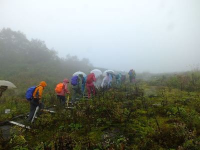 紅葉の小遠見山トレッキング