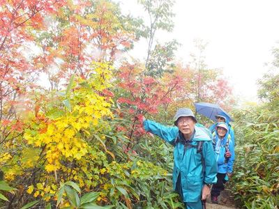 紅葉の小遠見山トレッキング