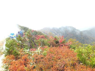 s9二ノ背〜小遠見山 (6).jpg