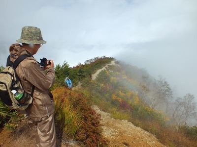 紅葉の小遠見山
