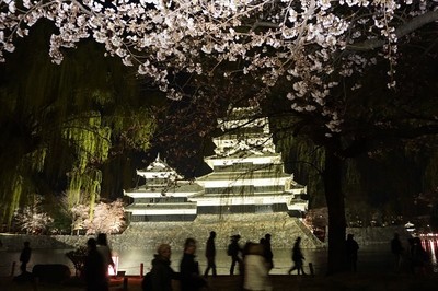【花情報】桜前線は今…
