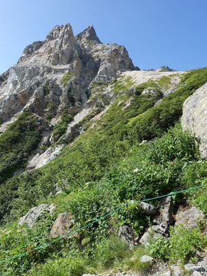 葱平からお花畑
