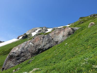 葱平からお花畑