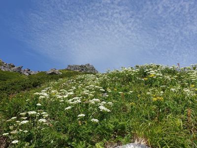 白馬岳登山