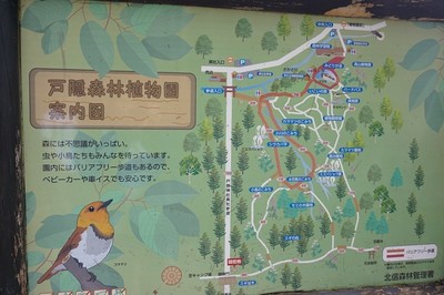 sDSC04761.jpg