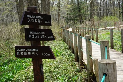 sDSC04774.jpg
