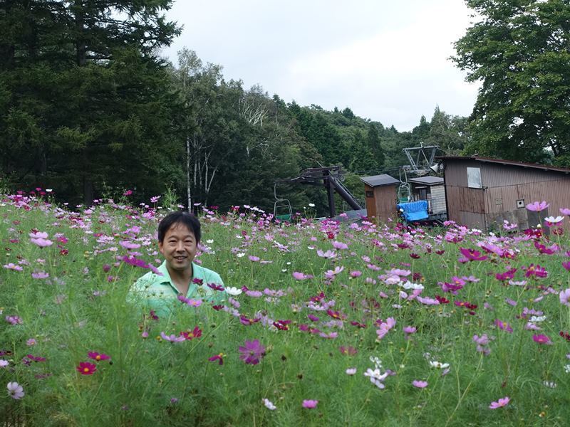 黒姫のコスモス ダリア園 白馬ハイランドホテル スタッフブログ