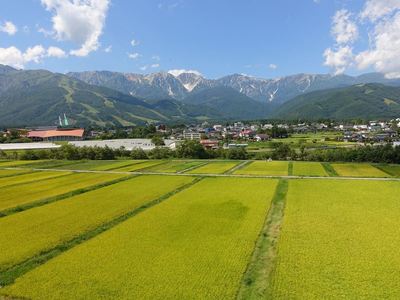 天神坂