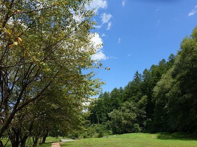 大出の吊橋