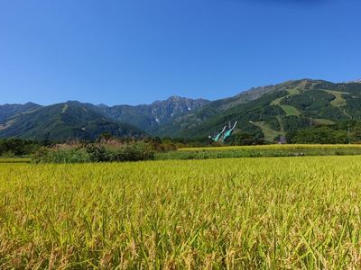 白馬村の秋の気配