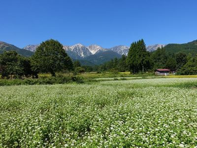 白馬村の秋の気配