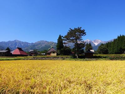 白馬村、秋接近中