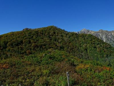 紅葉の小遠見山へ