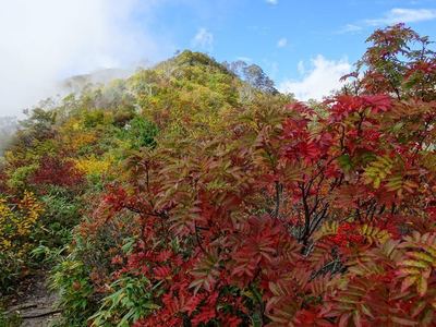 小遠見山