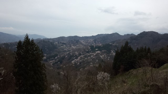 写真はムズカシイ 桜仙峡へ 白馬ハイランドホテル スタッフブログ