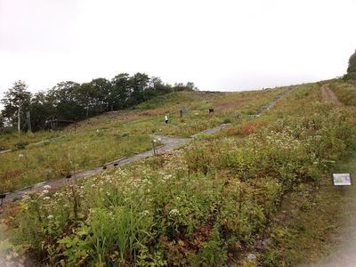 小遠見山
