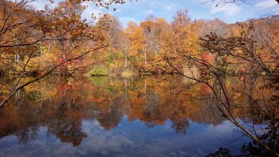 小谷村鎌池の紅葉