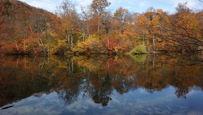 小谷村鎌池の紅葉