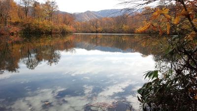 小谷村鎌池の紅葉