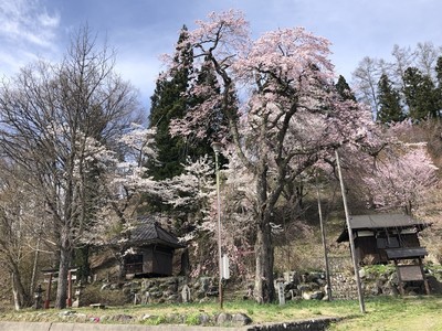 sIMG_3100.jpg
