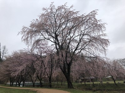 sIMG_3120.jpg
