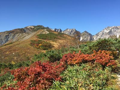 八方尾根の紅葉ハイキング