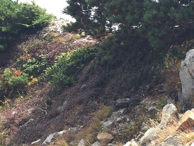 秋のアルプス唐松岳