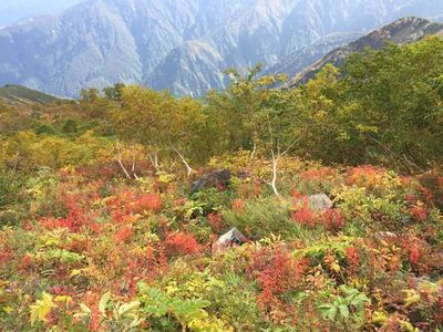 秋のアルプス唐松岳