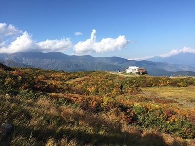 八方尾根紅葉祭り